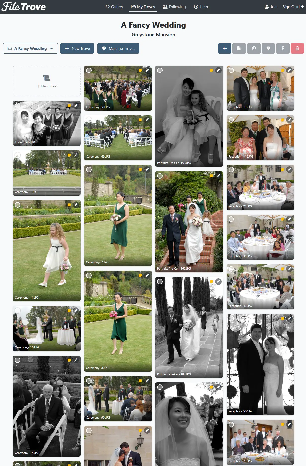 The Fancy Wedding trove page